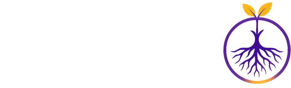 آفرینش